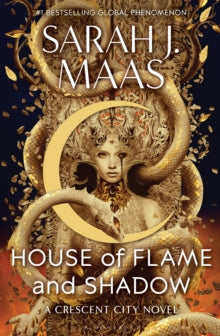 Boekcover van House of Flame and Shadow