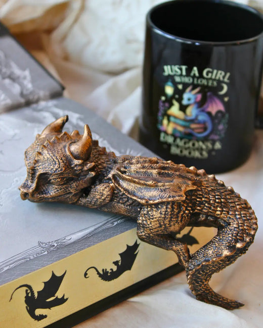 The Sleeping Bookwyrm - Slapend Draakje